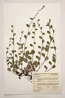 Habit