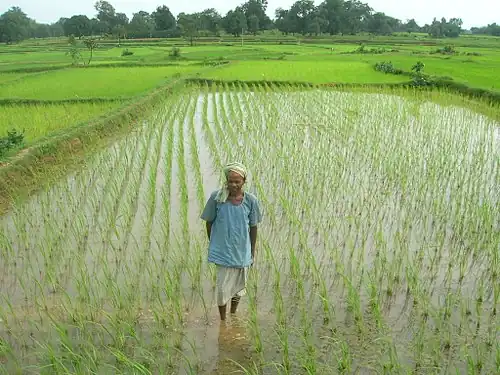 Farmer