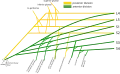 A schematic depiction.
