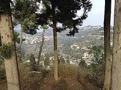 View of Safed