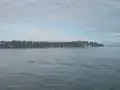 Waterview of St Heliers
