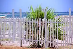 Sallitivu Beach
