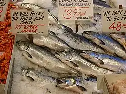 Salmon for sale