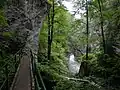 Pathway to the lower gorge