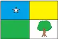 Flag of Santa Maria do Cambucá