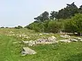 Sarsen stones beside Delling Copse