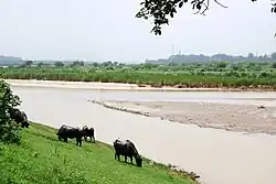 Satluj divides Doaba and Malwa