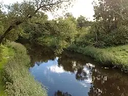 Sauga river