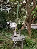 Bert Flugelman 1984, Sculpture with Cactus, stainless steel, Penrith, NSW