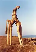 Sea Horse (1986)