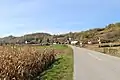 Belotić - panorama