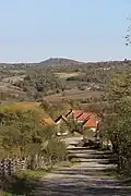 Gornje Crniljevo - panorama