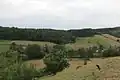 Kotesica - panorama