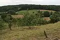 Kotesica - panorama