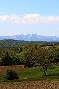 Kozličić Village - panorama
