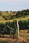 Miličinica - Panorama