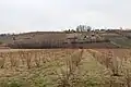 Mrcic village - panorama