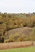 Plužac - panorama