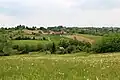 Radjevo Selo - panorama