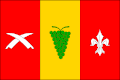 Flag of Seloutky