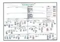 Comprehensive Genealogy of Shaykhan Family