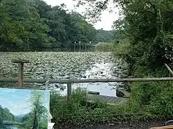 Shakujii Park