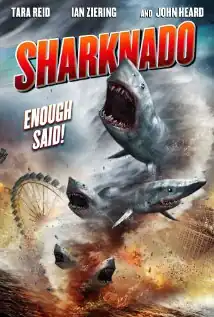 Sharks flying through the air, caught in a tornado. In the background is a Ferris wheel.