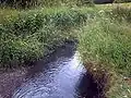 Oldbury Arm of the Tame close to its entrance to the Sheepwash Urban Park, between Great Bridge, Tipton, and West Bromwich. At this point it is still only 1–2 metres wide if not in flood.
