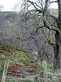 Kip Water in Shielhill Glen