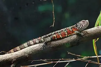 Schönbrunn Zoo