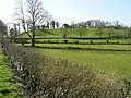 Fields in Sidaire