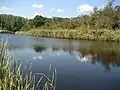The river Silistar