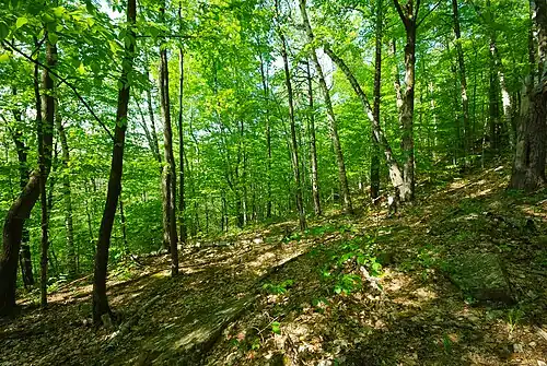 Slope