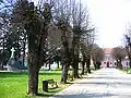 Park in the town center