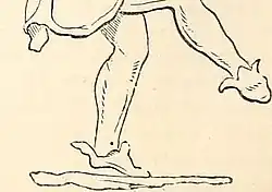 Sock