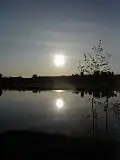 From Ringerike, Norway