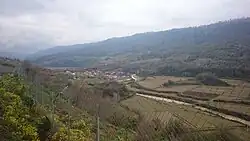 Soqondikola
