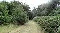 Southwood Open Space