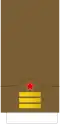 Coronel