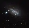 Irregular galaxy IC 3583 has been found to have a bar of stars running through its center.[17]