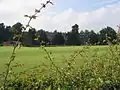 The school from across the sports pitches
