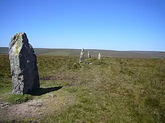 Stall moor row