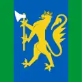 Standard of the Oslofjord Home Guard District 01