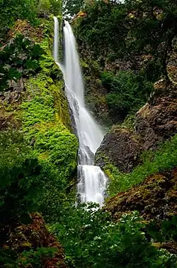 Starvation Creek Waterfall