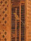 Depiction of a parrot in a cage