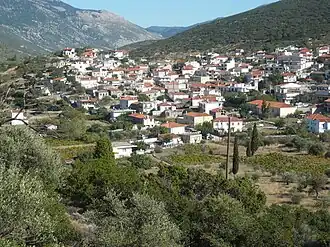 Steiri