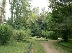 Alley in Dendropark