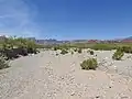 Desert wash streamed.