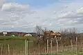 Sušica - Panorama
