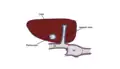Subcostal view of hepatic vein and surrounding organs by point of care ultrasound (POCUS)
